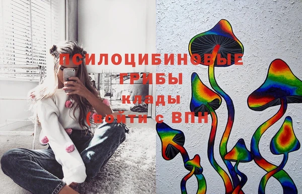стафф Баксан